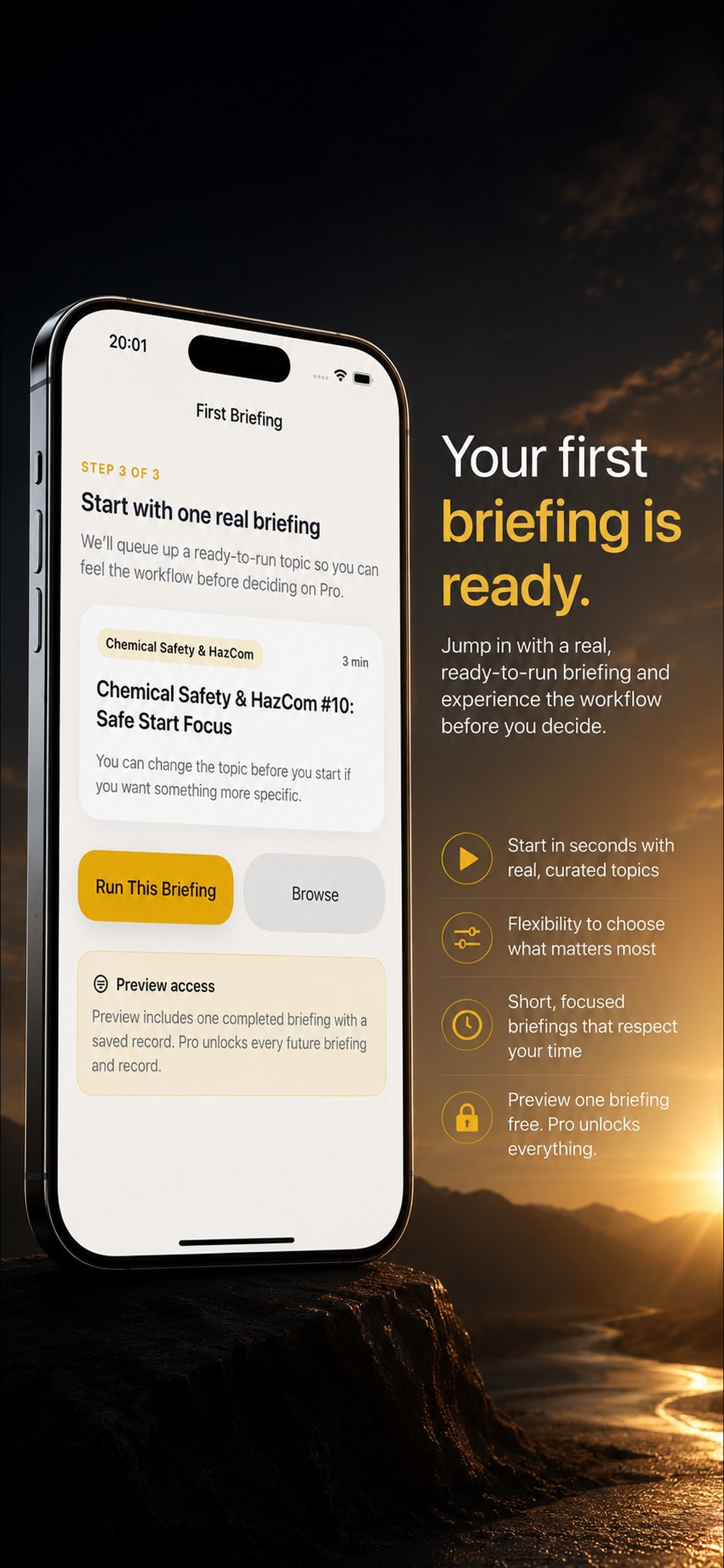 BriefLog developer-provided iPhone screenshot 2